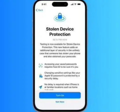 青田苹果授权维修店分享被盗设备保护功能开启方法 