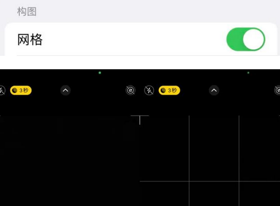 青田苹果手机维修网点分享iPhone如何开启九宫格构图功能