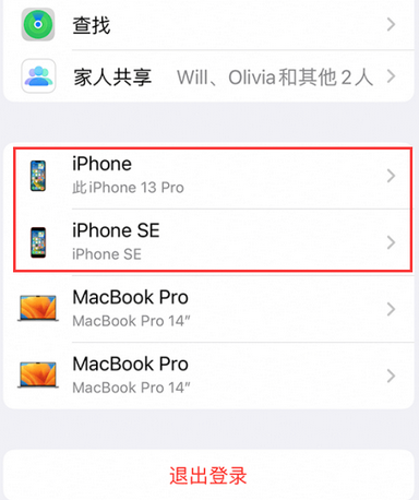 青田苹青田果维修网点分享iPhone如何查询序列号