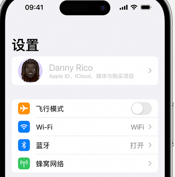 青田appleID维修服务iPhone设置中Apple ID显示为灰色无法使用