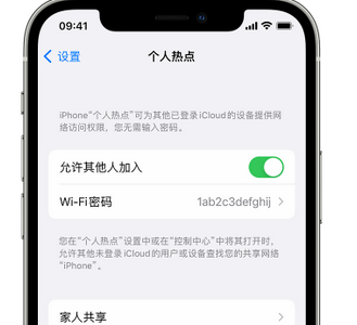 青田apple服务站点分享iPhone上个人热点丢失了怎么办 