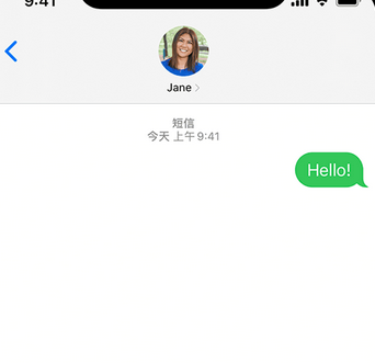 青田apple维修iPhone上无法正常发送iMessage信息