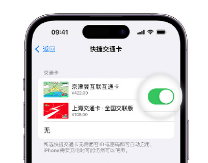 青田apple维修点分享iPhone上更换Apple Pay快捷交通卡手绘卡面 