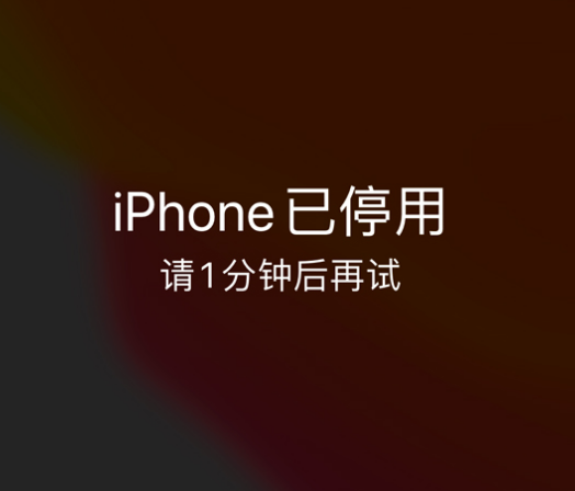 青田苹果手机维修分享:iPhone 显示“不可用”或“已停用”怎么办？还能保留数据吗？ 