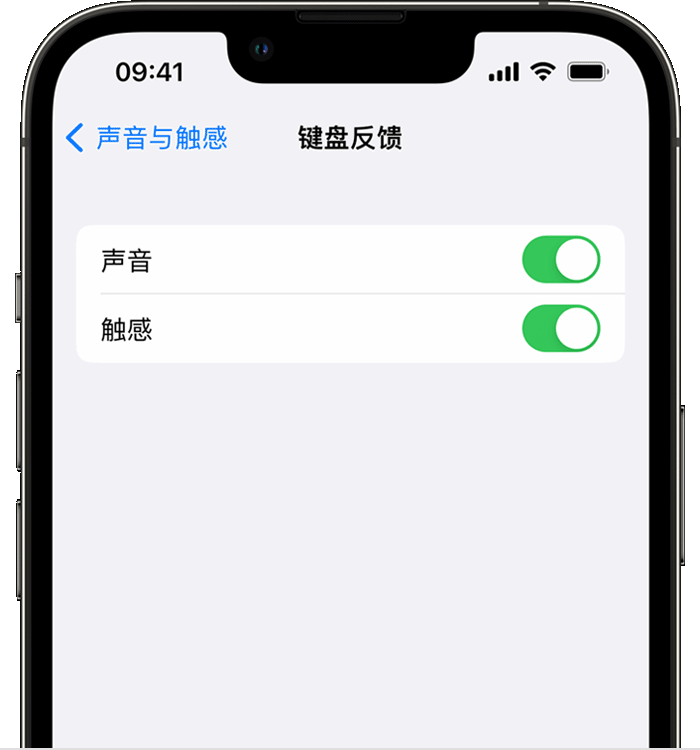 青田苹果14维修店分享如何在 iPhone 14 机型中使用触感键盘 