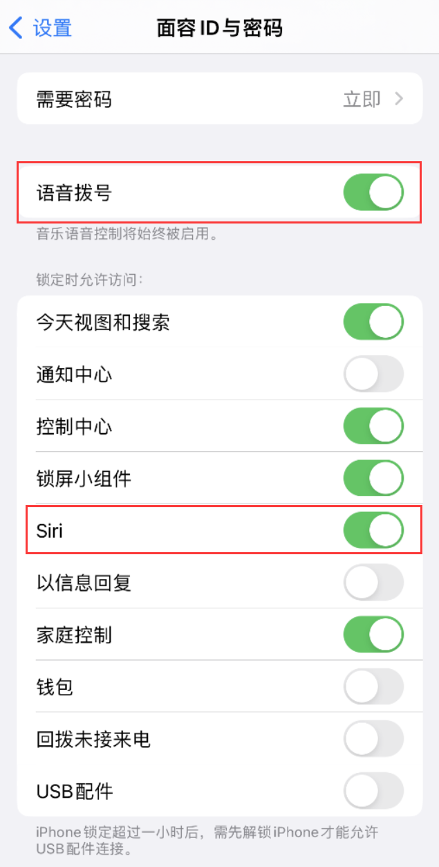 青田苹果维修网点分享不解锁 iPhone 的情况下通过 Siri 拨打电话的方法 