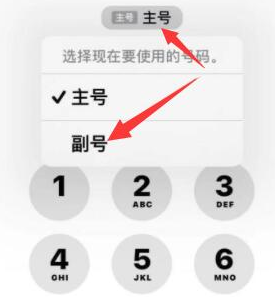 青田苹果14维修店分享iPhone 14 Pro Max使用副卡打电话的方法 