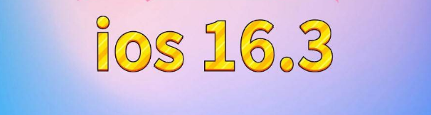 青田苹果服务网点分享苹果iOS16.3升级反馈汇总 