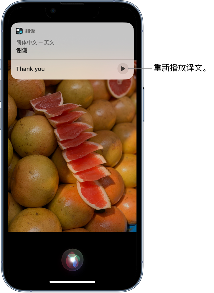 青田苹果14维修分享 iPhone 14 机型中使用 Siri：了解 Siri 能帮你做什么 